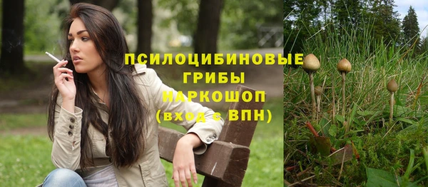 apvp Богородск