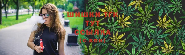 apvp Богородск