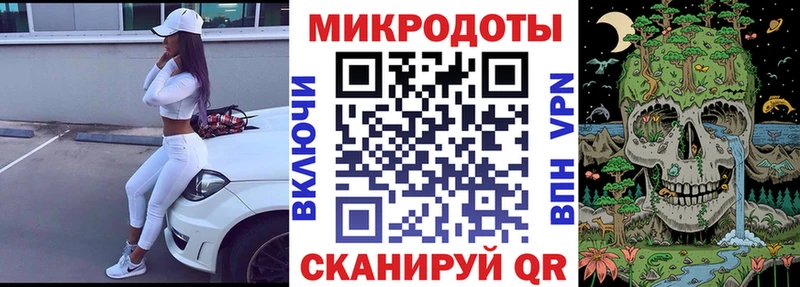 Галлюциногенные грибы Psilocybe  Купить где  Боровск 