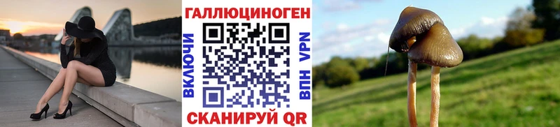 Псилоцибиновые грибы MAGIC MUSHROOMS Боровск